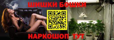 PSILOCYBIN Заводоуковск