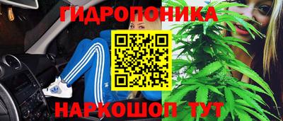 PSILOCYBIN Заводоуковск
