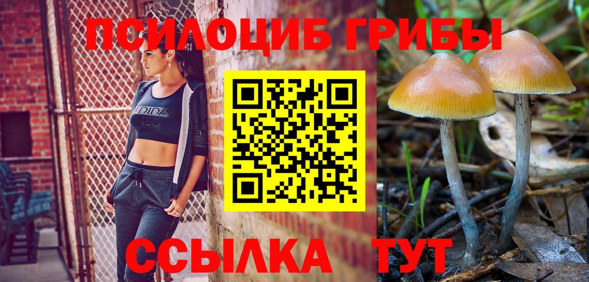 Галлюциногенные грибы Psilocybine cubensis Новоуральск